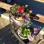 La Torruca Hébergement de vacances Orena