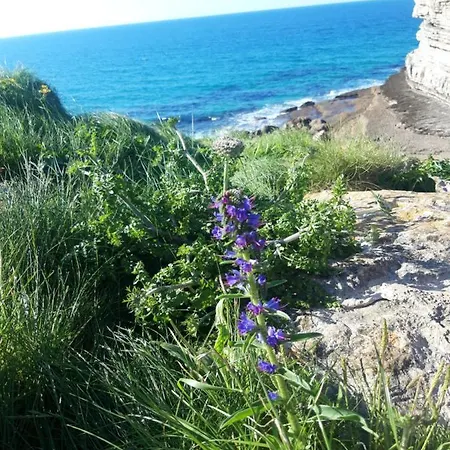 La Torruca *