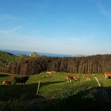 La Torruca Сasa de vacaciones Orena